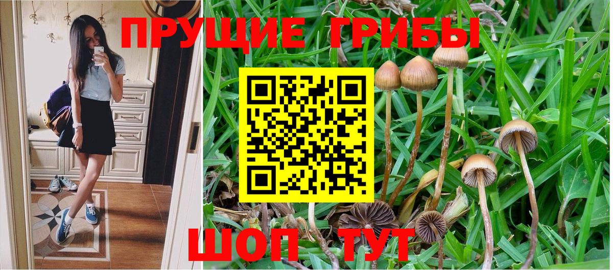 Псилоцибиновые грибы Psilocybine cubensis Шали