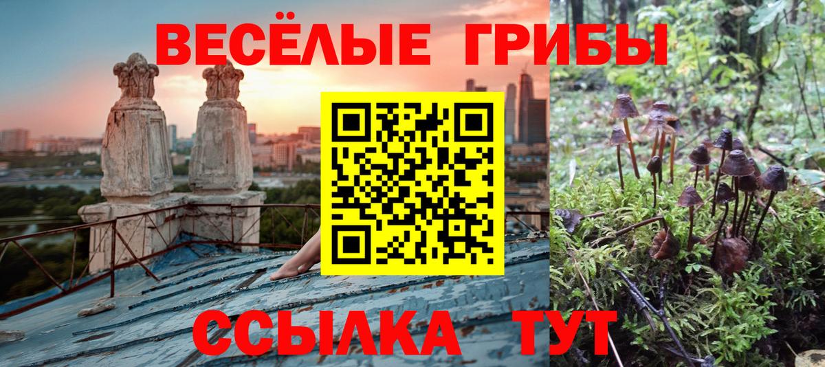 Галлюциногенные грибы Magic Shrooms  Вход с VPN  Шали 